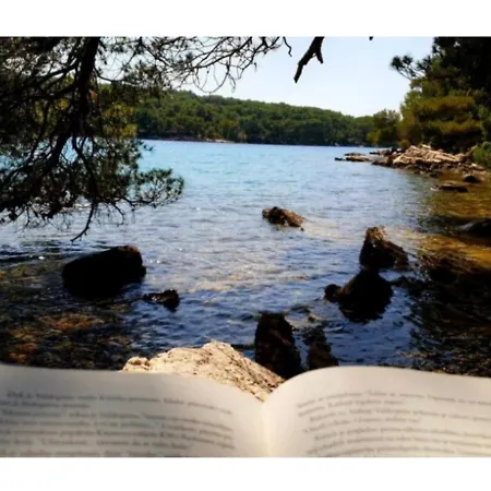 Hvar Art Heritage 公寓